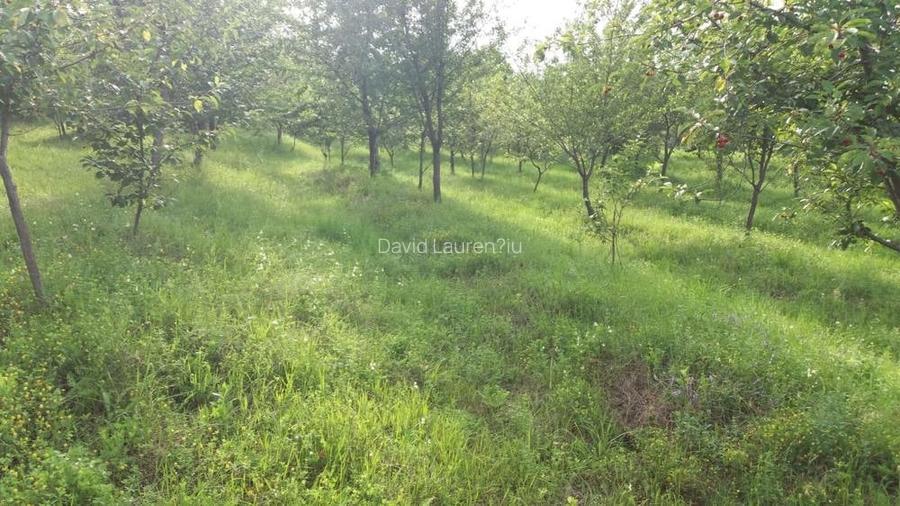 Teren extravilan, 9104mp, zona Cozia-Ia?i