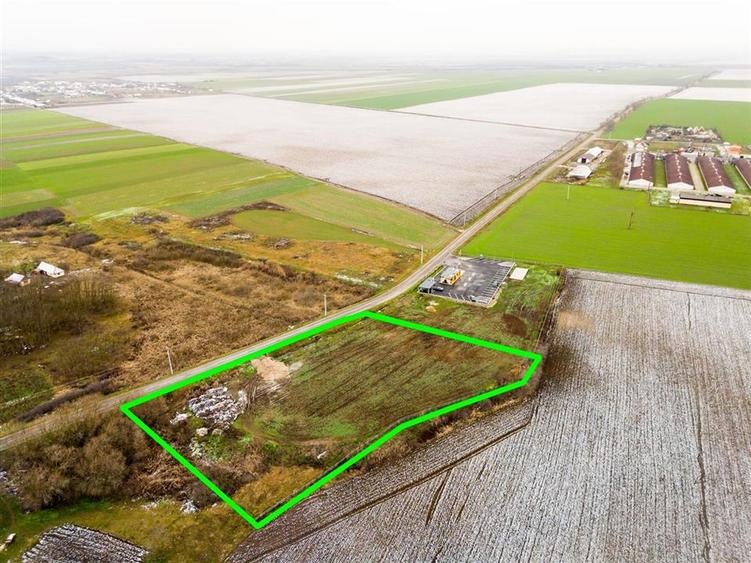 Teren intravilan de 5000 mp, în Roit