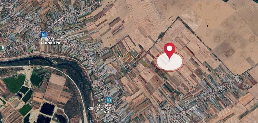 Teren agricol intravilan de 2915 mp, în Copăceni