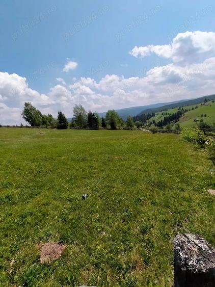 Vand teren in Maguri, comuna Maguri-Racatau, Jud.Cluj - 4