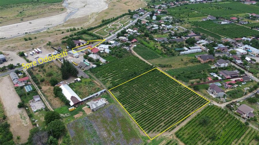 Teren agricol extravilan de 7425 mp, în Central