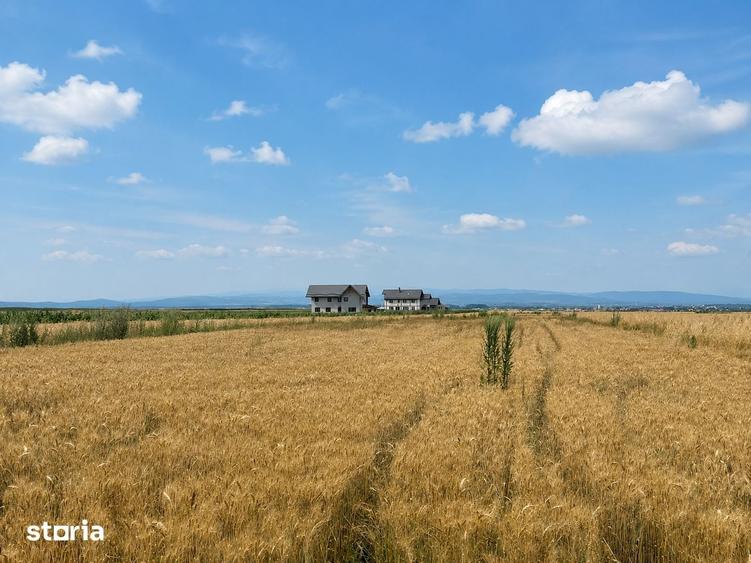 Teren de 5000 mp, în Central