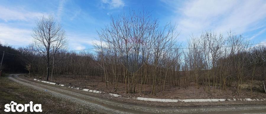 Teren de 2714 mp, în Căzănești