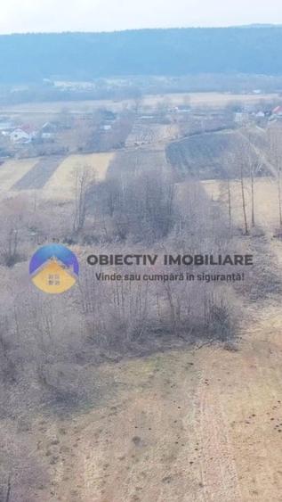 Teren intravilan de 10515 mp, în Bodești