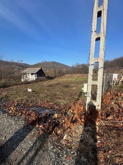 Teren intravilan de 3600 mp, în Tăuții-Măgherăuș
