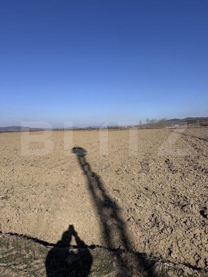 Teren agricol extravilan de 8100 mp, în Exterior Est