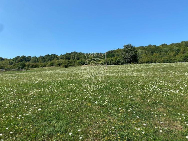 Teren agricol extravilan de 11000 mp, în Unirea