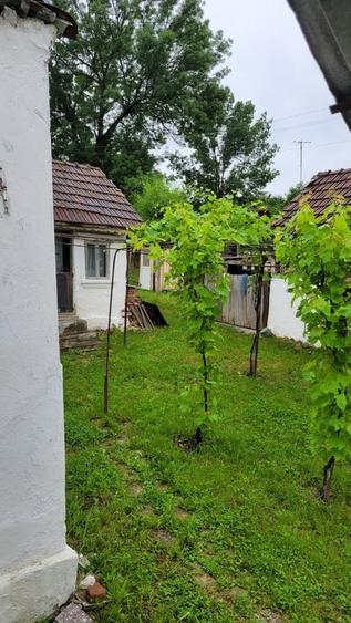 Teren de 1900 mp, în Fârtățești
