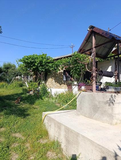 Vand casa Ciucurova, Tulcea - 3