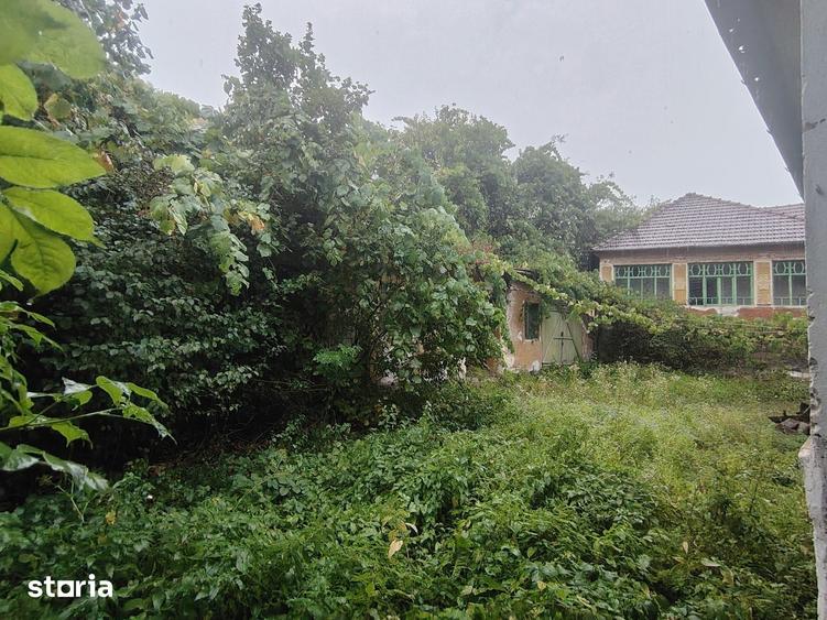 Casă cu 6 camere cu Teren 4800 Mp în Bârzava