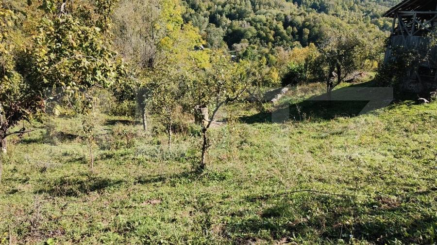 Teren cu priveliște superba , livadă și potențial căsuțe de vacanță - 11