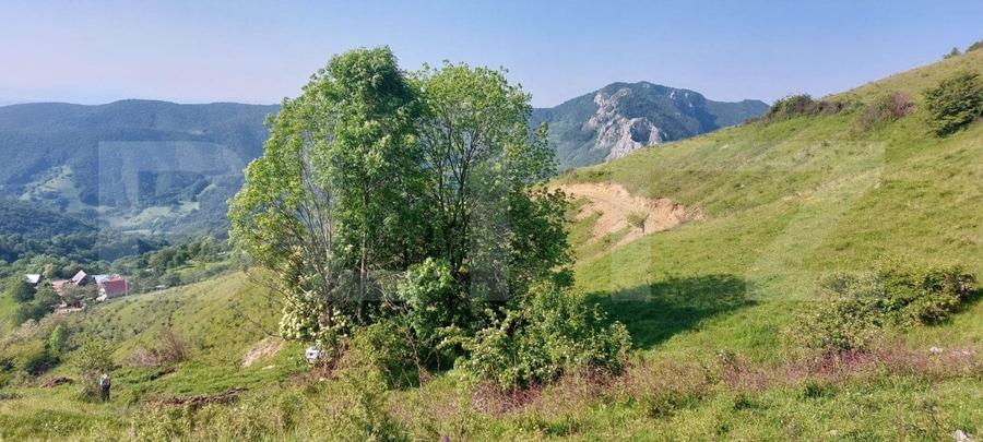Teren Construcții extravilan de 3800 mp, în Exterior Nord