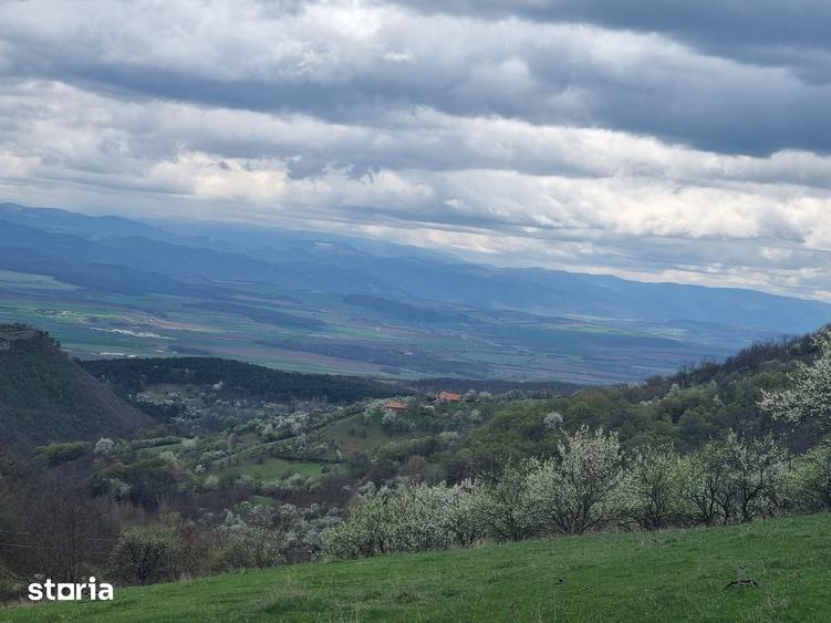 Teren de 7000 mp, în Cetate
