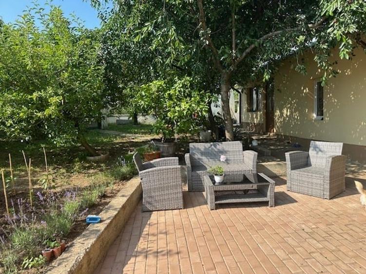 Casă individuală cu 6 camere cu Teren 4500 Mp în Podgoria