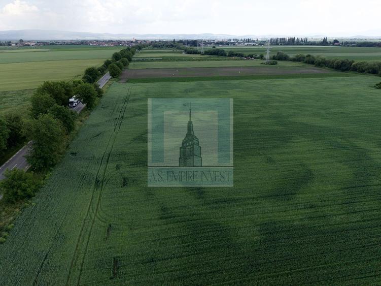 Teren Construcții intravilan de 50000 mp, în Hălchiu