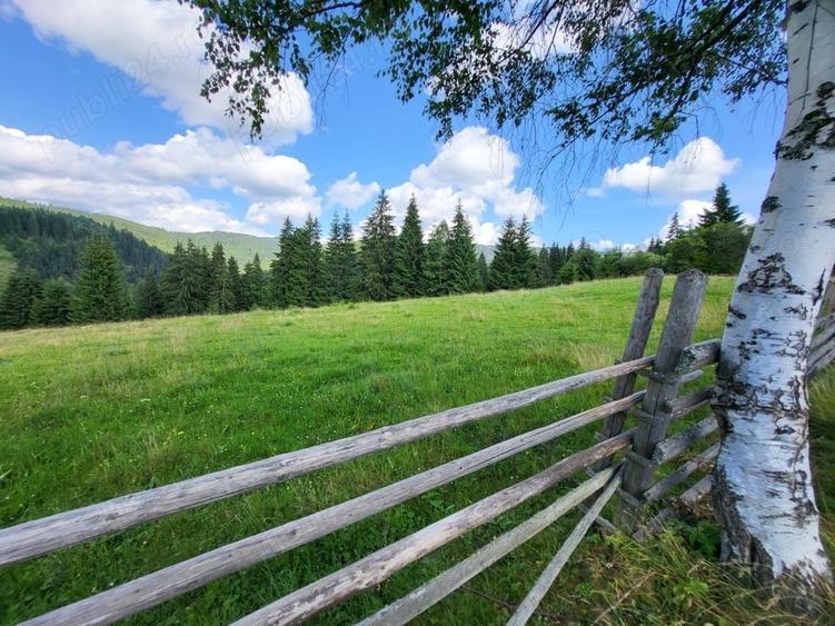 Teren de 5000 mp, în Ortoaia