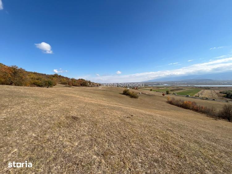 Teren 8300 mp in Bradu, Sibiu Priveliste spe Olt si Muntii Faga