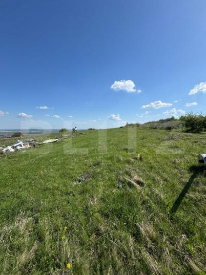 Cabana CHEILE TURZII, teren 8700 mp, priveliste superba - 11