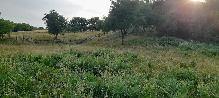 Teren de 2506 mp, în Romos