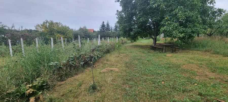 Teren Construcții intravilan de 900 mp, în Central