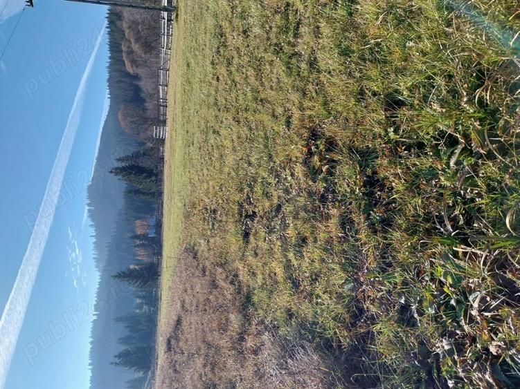 Teren de 6529 mp, în Valea Stânei