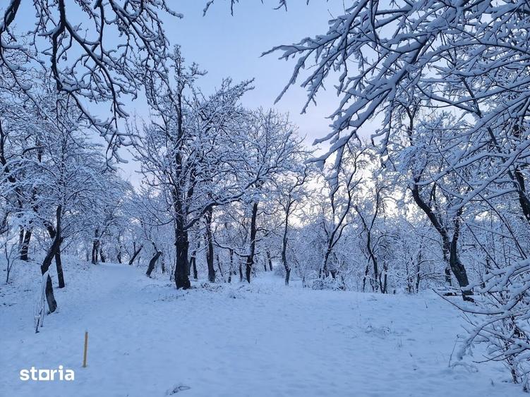 Teren de 3600 mp, în Șotrile