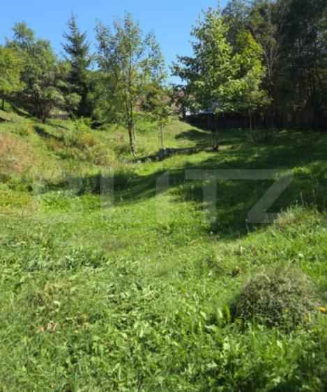 Teren de 900 mp, în Central