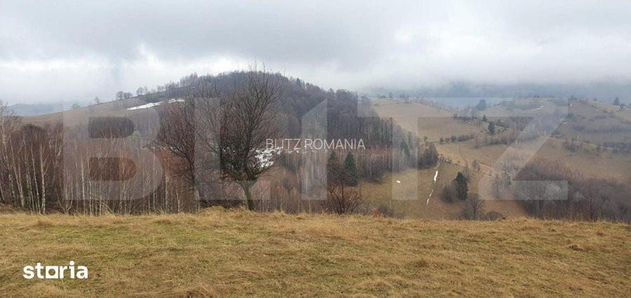 Teren 9648 mp, priveliste superba, Poiana Marului!