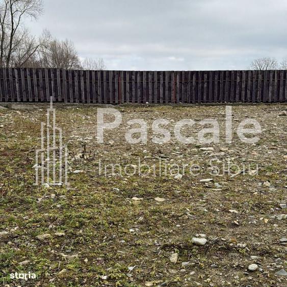 Spațiu comercial, în Sadu