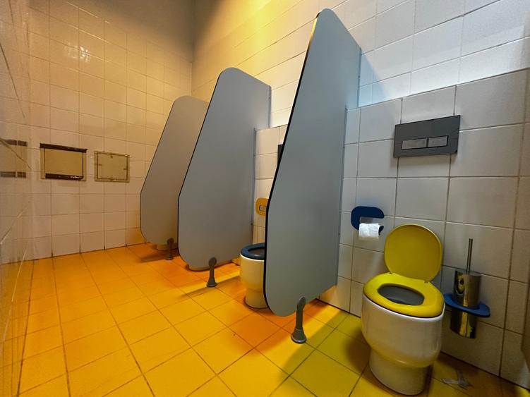 Spațiu comercial, de 255 mp, în Păcurari