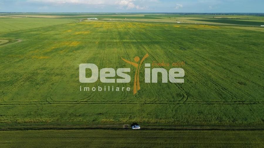 Teren agricol extravilan de 41225 mp, în Dumbrava
