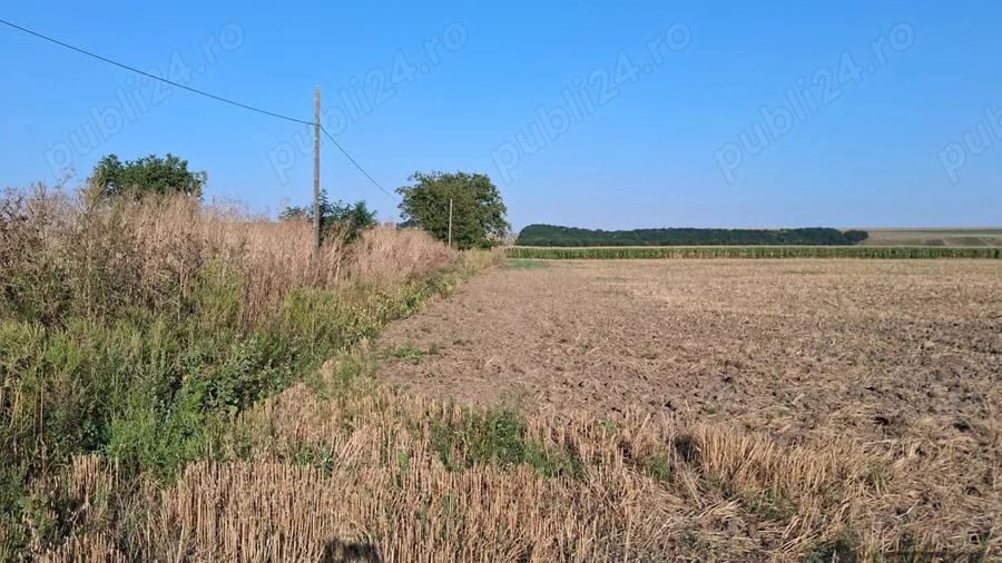 Teren de 28500 mp, în Central