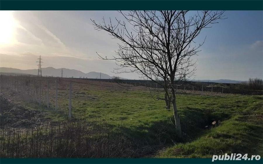 Teren de 7200 mp, în Central