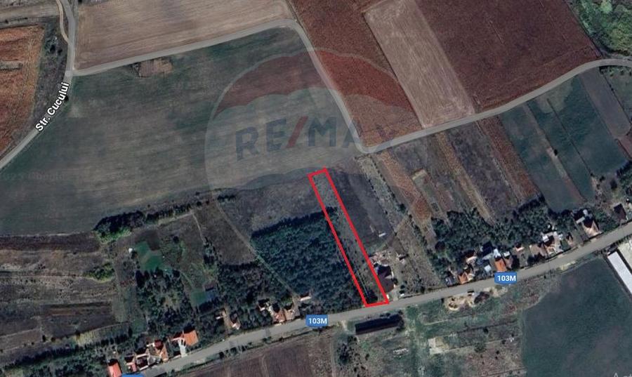 Teren Construcții intravilan de 2635 mp, în Rediu