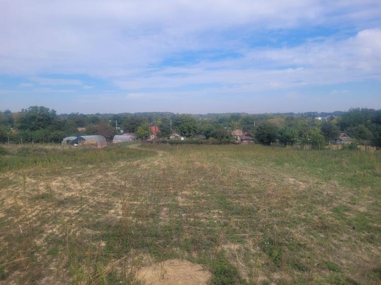 Teren agricol intravilan de 3167 mp, în Cosâmbești
