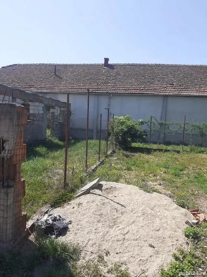 Teren de 300 mp, în Frumușeni