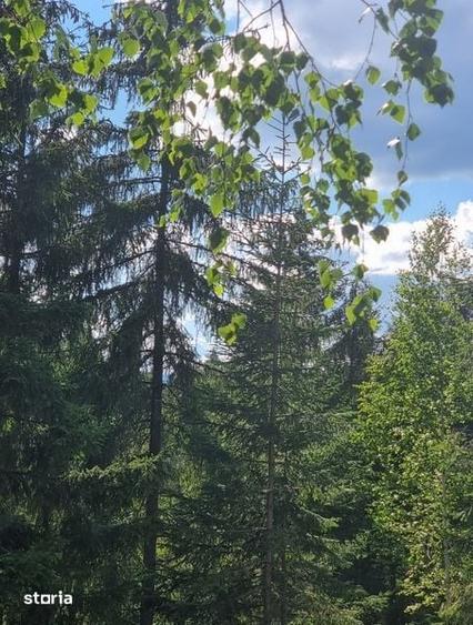 Teren de 489 mp, în Călățele