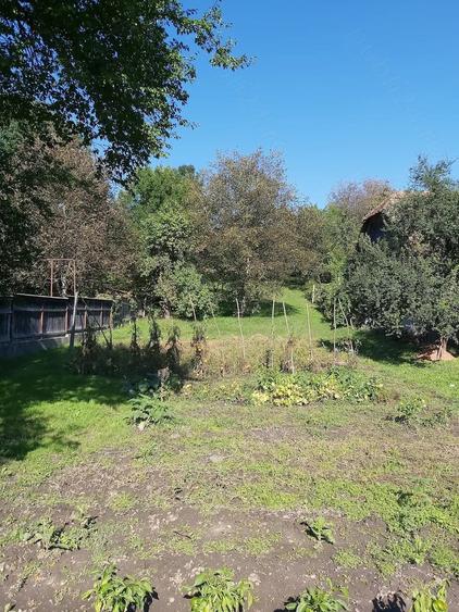 Casă cu 3 camere cu Teren 2506 Mp în Trei Sate