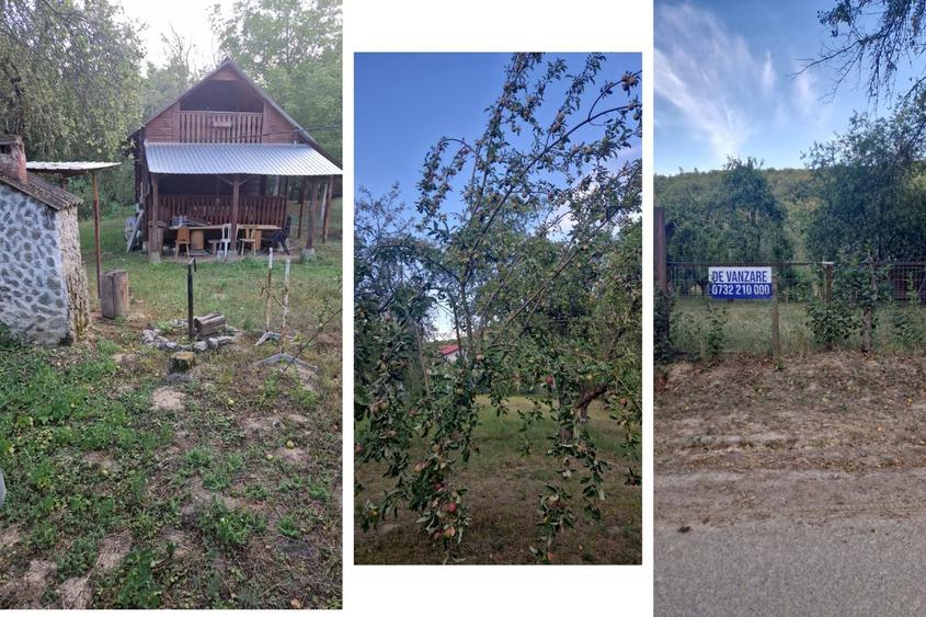 Teren Construcții extravilan de 5600 mp, în Arăneag