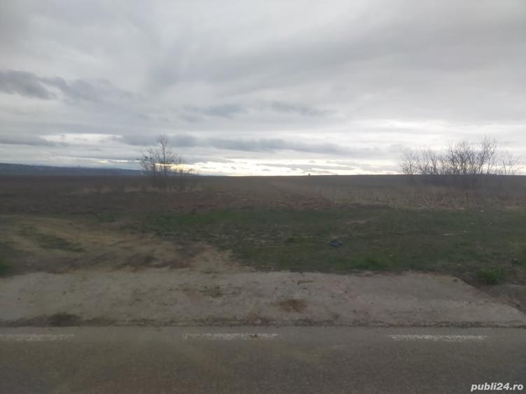 Teren de 5000 mp, în Central
