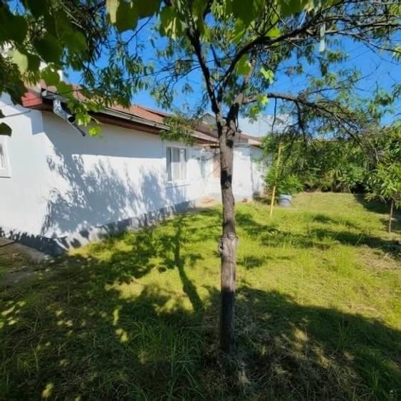 Casă individuală cu 3 camere cu Canalizare în Câmpinița