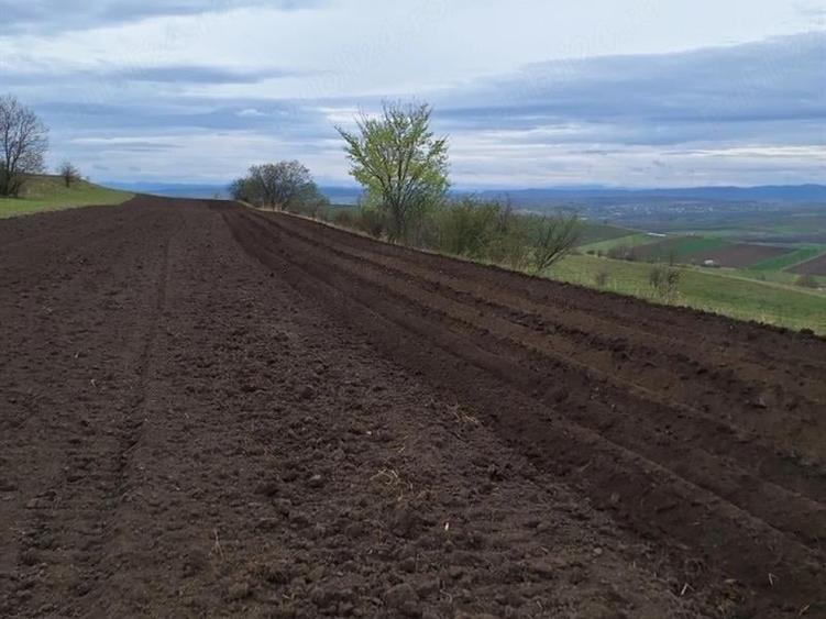 Teren Construcții intravilan de 30000 mp, în Mihoveni