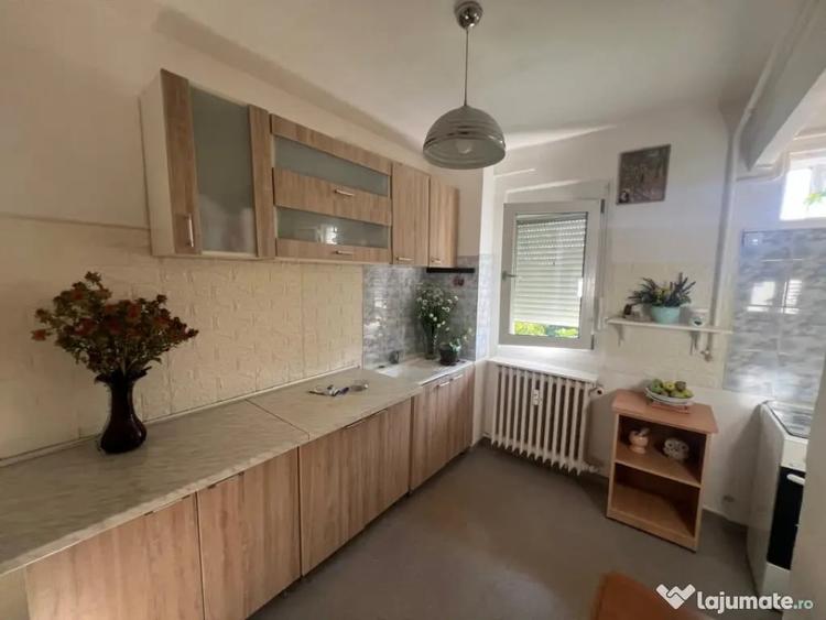 Apartament cu 2 camere semidecomandat în Brazda lui Novac