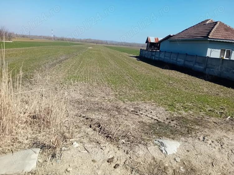 Teren de 3600 mp, în Central