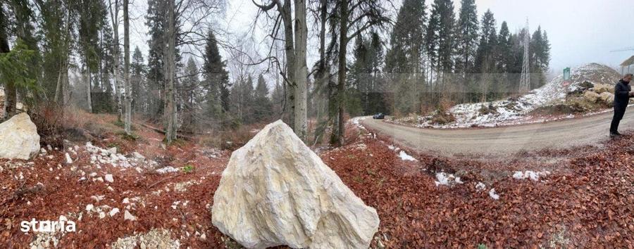Teren de 4000 mp, în Sinaia