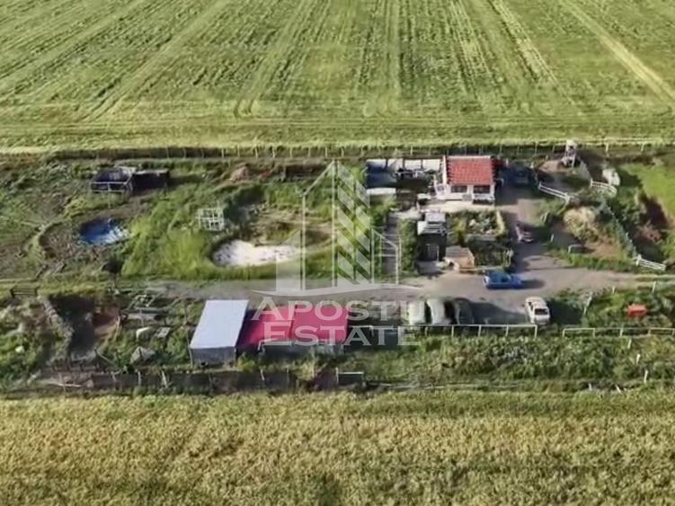 Farmhouse la 14km de Timisoara, teren agricol 1ha - 3