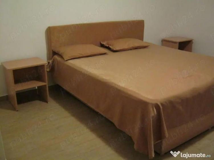 Apartament cu o camera Take Ionescu - 1