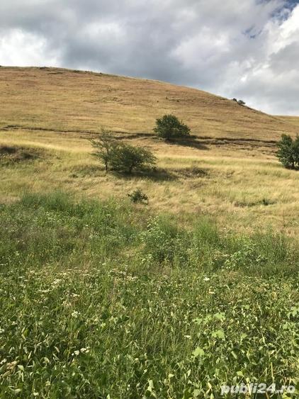 Teren de 11500 mp, în Micăsasa
