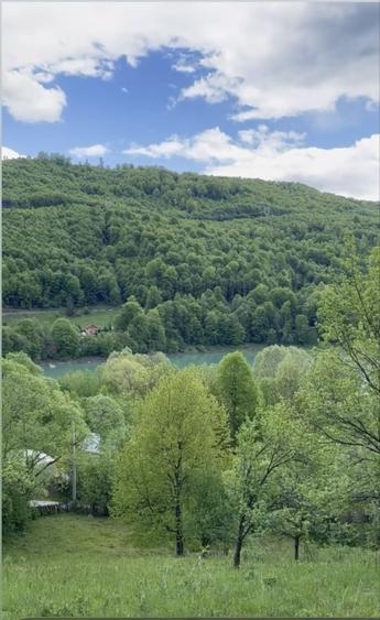 Teren de 3041 mp, în Teșila