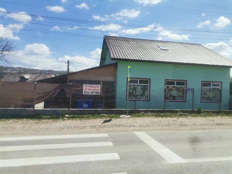 Casă cu 5 camere cu Teren 1000 Mp în Lupești